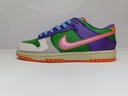 Nike SB - Purple / Green