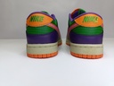 Nike SB - Purple / Green